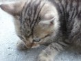 /album/fotogaleria/p1030815-jpg/