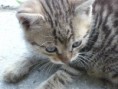 /album/fotogaleria/p1030816-jpg/