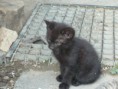 /album/fotogaleria/p1030817-jpg/